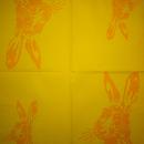 160 Rabbits:  natürlich - 3-ply (grün) - Artebene